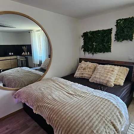 Apartment Charming Independent Scionzier